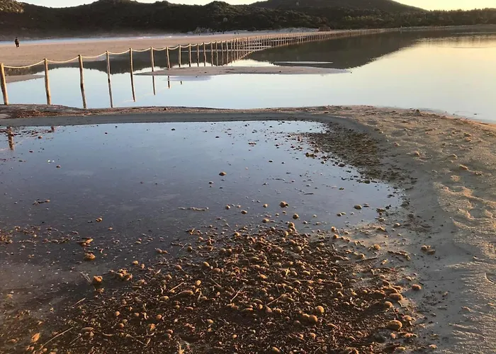 Andrea Frau - Casa Mandorleto New - Sardinia Villasimius-peaceful Panoramic Terrace-full Comfort Air Conditioning-wifi-parking-privacy דירה